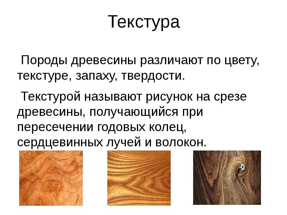 Структура и свойства древесины - древесина