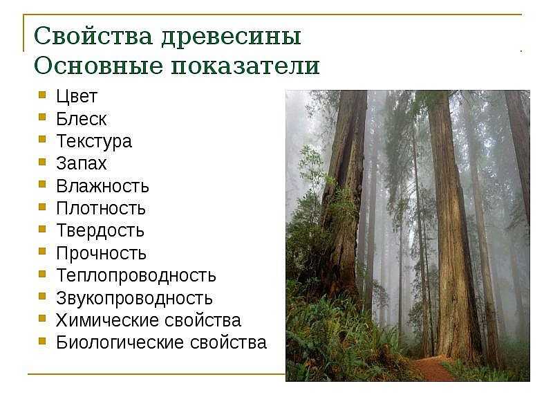 Сколько весит куб леса (древесины) естественной влажности? (170 пород дерева)