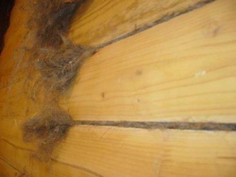 Как правильно сделать конопатку деревянного дома