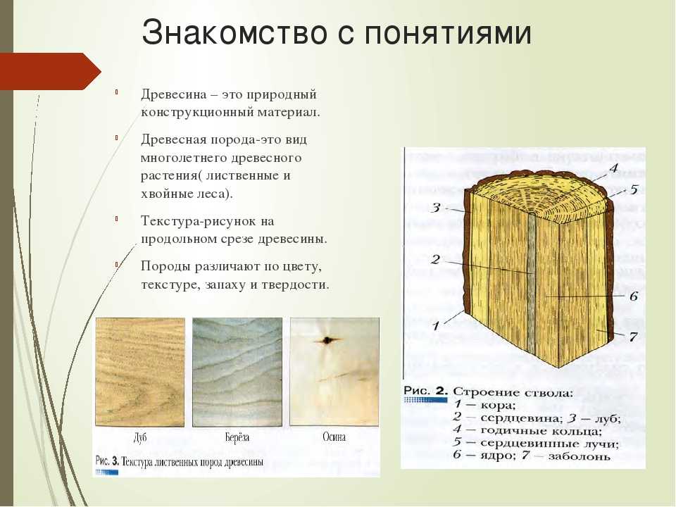 Обзор физических свойств древесины
