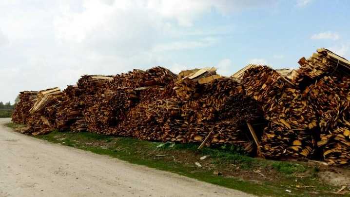 Утилизация древесных отходов: способы, закон