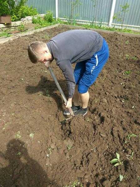 К чему снится копать землю лопатой в огороде - полное толкование
