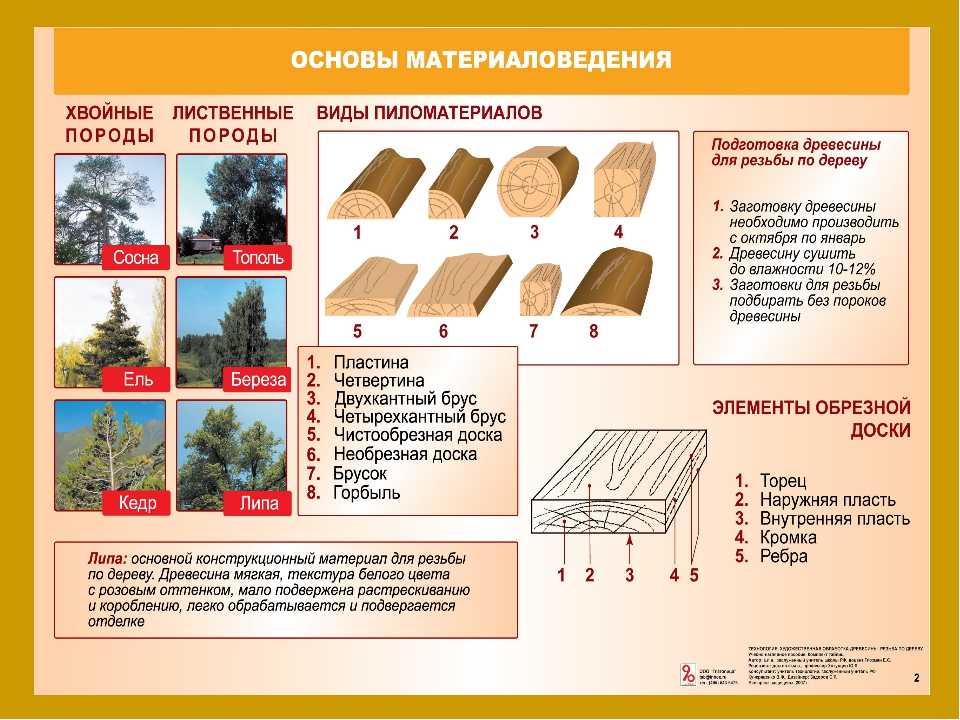 Классификация древесины -